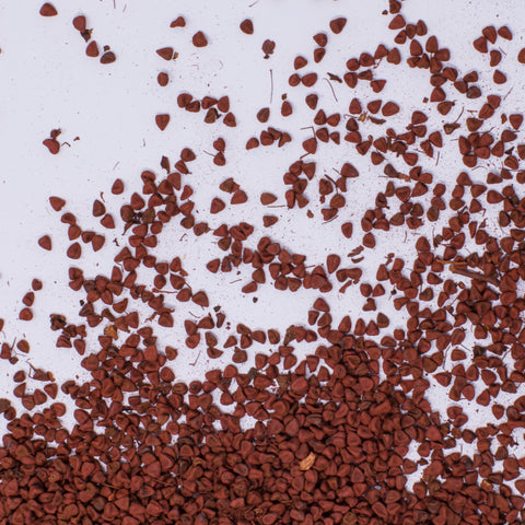 Annatto seeds