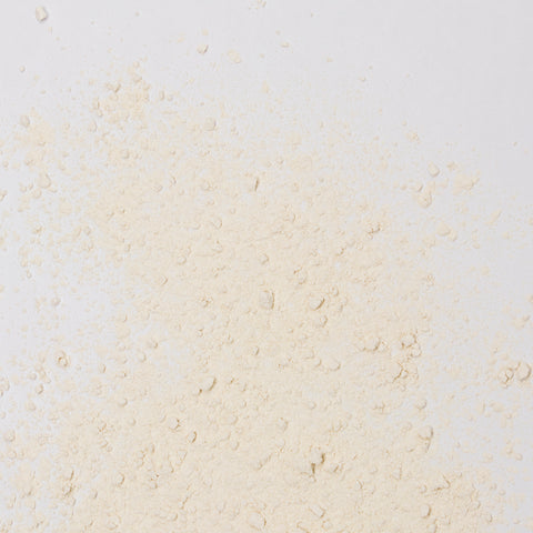 White Onion Powder