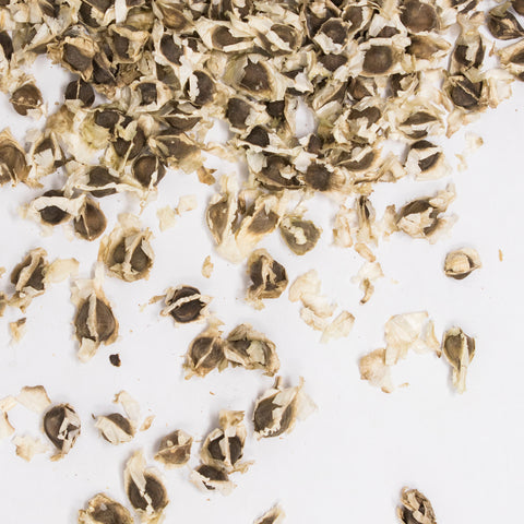 Moringa seed