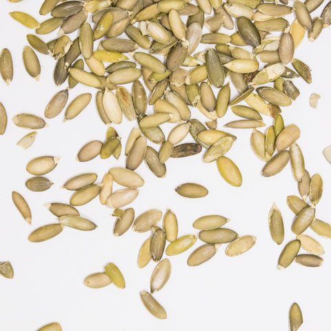 Smooth Pumpkin Seed